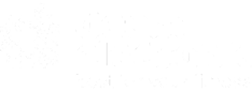 Daum Electronic GmbH
